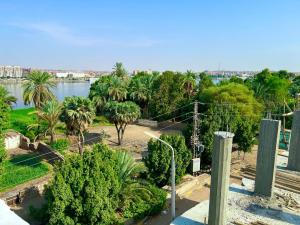 阿斯旺Ghalia Guest House的享有棕榈树公园和河流的景色