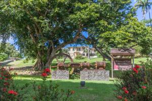 圣罗斯房县酒店的一座花园,花园内有古老的拖拉机和一棵树