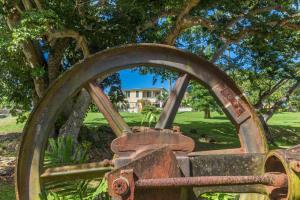 圣罗斯房县酒店的树前的一个大金属轮子的密闭