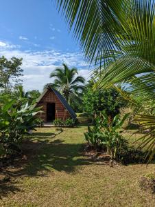 托尔图格罗Bewak CR的棕榈树田间的小房子