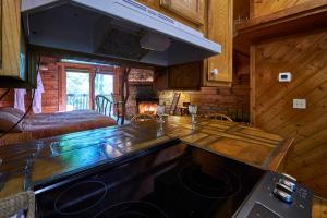 赛维尔维尔Gatlinburg Adventure Cabins的小屋内的厨房配有炉灶