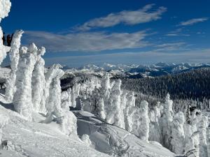 Whitefish Slopeside Condo平面图