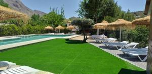 BedmarCortijo el Cercadillo的一个带椅子的草坪和一个带度假村的游泳池