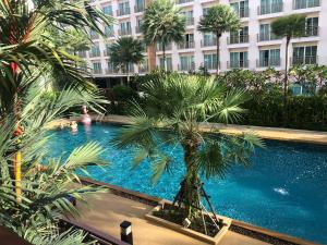 芭东海滩Phuket villa best location pool view的一座建筑前的游泳池,里面种着棕榈树