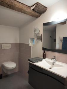 ChoméracChambre d'hôtes La terrasse de Sabatas的一间带水槽、卫生间和镜子的浴室