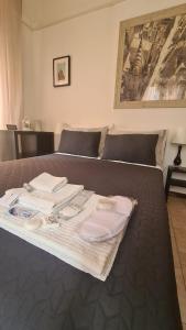 比萨Pisa City Home B&B的床上配有毛巾和毛巾