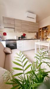 比萨Pisa City Home B&B的厨房配有白色橱柜、桌子和植物