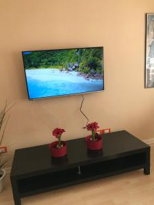 奥斯塔Edelweiss29的挂在墙上的电视机,桌子上挂着两株植物