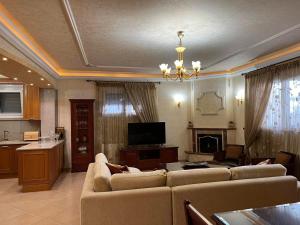 塞萨洛尼基SOFIA APARTMENTS的客厅配有两张沙发和一台电视