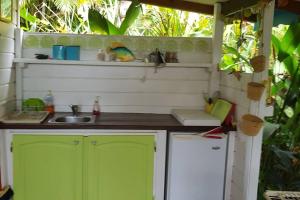 圣罗斯Mariposa的厨房设有绿门和水槽