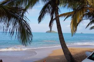 圣罗斯Mariposa的两棵棕榈树和大海的海滩