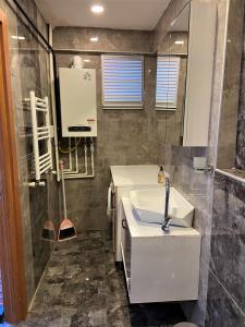 伊斯坦布尔Ninve Apartments – Istanbul Bakirköy的一间带水槽和淋浴的浴室