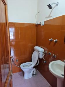 JariHigh Spirits Hostel and Cafe, Mateura的一间带卫生间和水槽的浴室