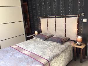 MarsillarguesChambre d'hôte " Le Ponant "的一间卧室配有一张带两个枕头的床