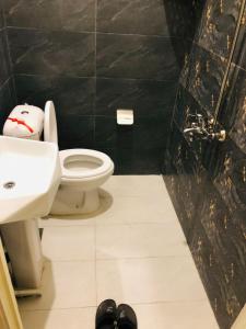 拉瓦尔品第Fully Luxurious Entire Villa Vacation Home In Bahria Town Phase 8的一间带卫生间和水槽的浴室