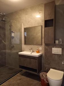 米特罗维察Hotel Centrum的一间带水槽、淋浴和卫生间的浴室