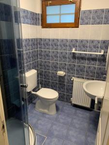 AlsótoldCserhátvölgy Panzió的一间带卫生间和水槽的浴室