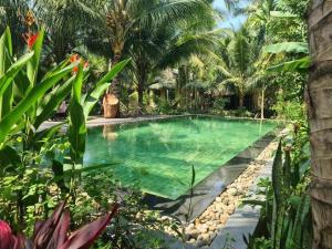 槟知湄公河之家民宿 的棕榈树度假村内的游泳池