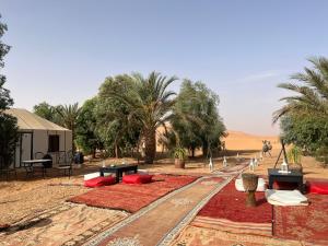梅尔祖卡Luxury traditional Tent Camp的沙漠中种有棕榈树的化合物