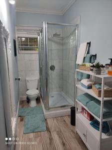 AugierArcadia Studio Apartment的带淋浴和卫生间的浴室
