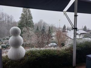 LaufApartement König的坐在院子顶上的雪人雕像