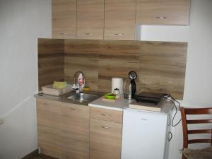 波德戈里察Apartman Boljević的一间带水槽和冰箱的小厨房