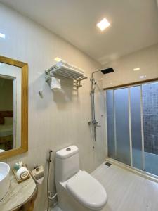 马富施Alaika Maafushi的一间带卫生间、水槽和镜子的浴室