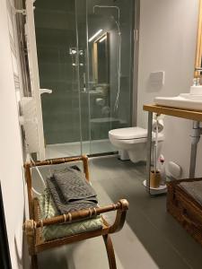 Suite privée avec accès jardin en coeur de village的带淋浴的浴室以及带卫生间的椅子。