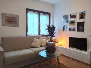 龙奇廖内roncio' cottage的带沙发和电视的客厅