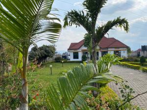 RuhengeriVirunga Homestays的一座种有棕榈树的花园