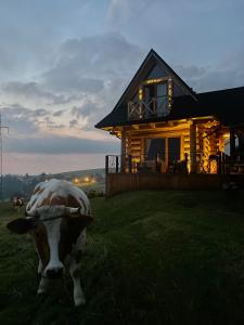 扎布Little House的站在房子前面的草上,一头牛