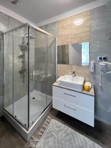 博古舒夫-戈尔采Pokoje Pod Mniszkiem的一间带玻璃淋浴和水槽的浴室