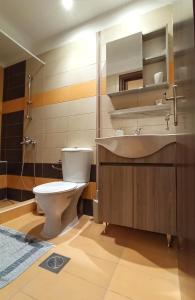 约阿尼纳阿吉尔克里玛公寓式酒店的一间带卫生间和水槽的浴室