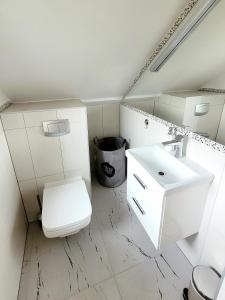 什恰夫尼察Cisza i Spokój的浴室配有白色卫生间和盥洗盆。