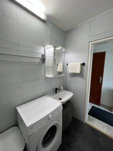 斯图加特Ruhiges und klimatisiertes Apartment的一间带洗衣机和水槽的浴室