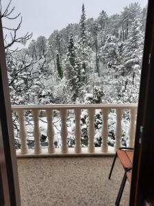 库塔伊西Hotel Good Luck的阳台享有雪覆盖的树木的景致。
