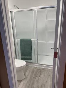 布尔海德市Restful hangout的一间带卫生间和玻璃淋浴间的浴室