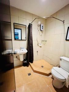 科隆Coron Ecolodge的浴室配有卫生间、盥洗盆和淋浴。