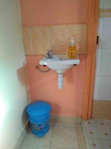 MeruA peaceful and lovely 1 bedroom vacation Dina's little home的浴室设有水槽和蓝色垃圾桶