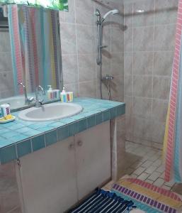 波拉波拉Raihei Auberge de jeunesse Chez l'habitant à Bora Bora的一间带水槽和淋浴的浴室