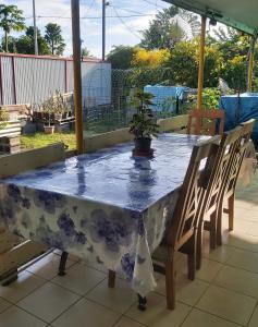 波拉波拉Raihei Auberge de jeunesse Chez l'habitant à Bora Bora的蓝白桌子上放着盆栽植物