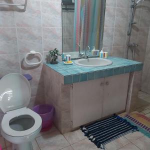 波拉波拉Raihei Auberge de jeunesse Chez l'habitant à Bora Bora的一间带卫生间和水槽的浴室