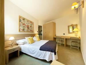 乌斯蒂卡Residence Stella Marina的配有一张床和一张书桌的酒店客房