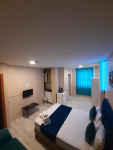 伊斯坦布尔216 Turkuaz Suit的一间卧室配有一张大床和电视
