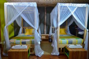 KisoroGorilla Hills Eco-lodge的白色窗帘间内的两张床