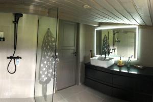 耶卢Seterhytte i Havsdalen的带淋浴、盥洗盆和镜子的浴室