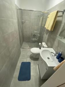 扎耶查尔Apartmani Home的一间带水槽、卫生间和淋浴的浴室