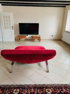 杜塞尔多夫HandwerkerZimmer的客厅设有一张红色沙发,配有电视