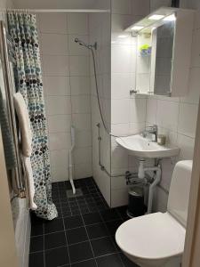 马尔默露丝拉格纳旅馆的一间带水槽、卫生间和淋浴的浴室