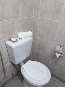 别德马Alquilerpordiaviedma的一间位于客房内的白色卫生间的浴室